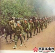 ��Խ��������ս��ʲô��ʹҶ��ӢԪ˧��Ϊ��̾��